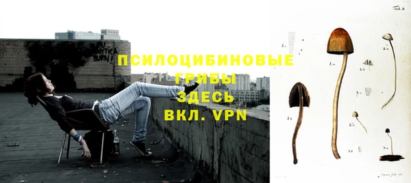 каннабис Арсеньев
