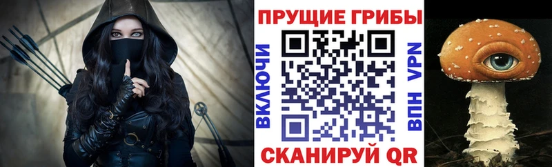 Псилоцибиновые грибы MAGIC MUSHROOMS  закладка  Балахна 